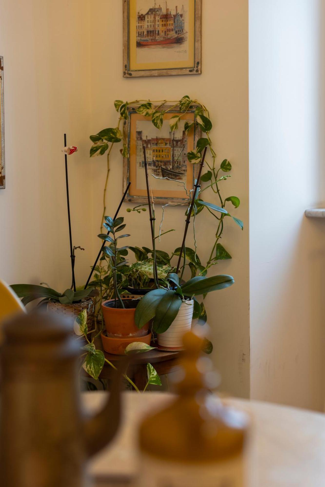 Scala Santa Cozy Flat Apartment